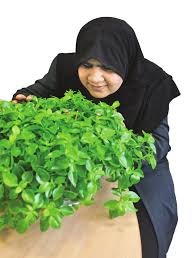 1آزاده ستاری