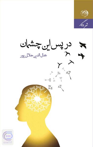 در پس این چشمان