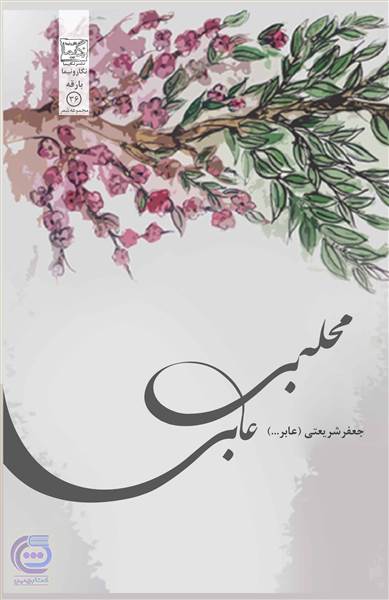 محله بی عابر