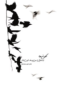 کلاغ ها به منزل میرسند،این بار