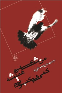 من شاعرم همیشه کمی هم کبوترم