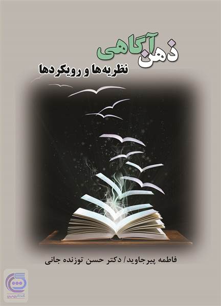 ذهن آگاهی - نظریه ها و رویکردها