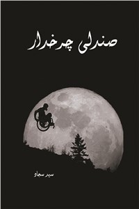 صندلی چرخدار