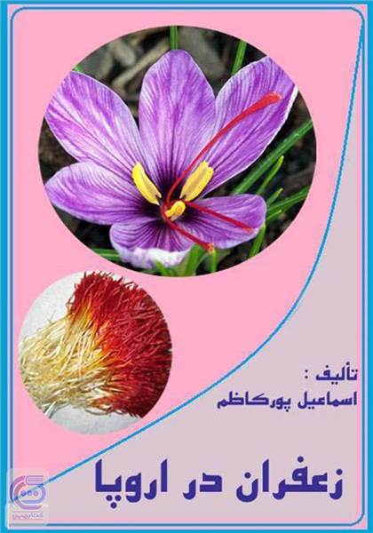 زعفران در اروپا