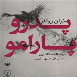 دانلود کتاب صوتی پدرو پارامو