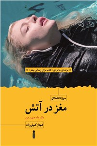 مغز در آتش