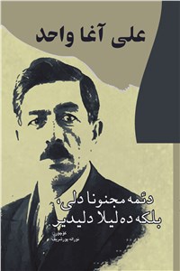دانلود کتاب دئمه مجنونا دلی - بلکه ده لیلا دلیدیر