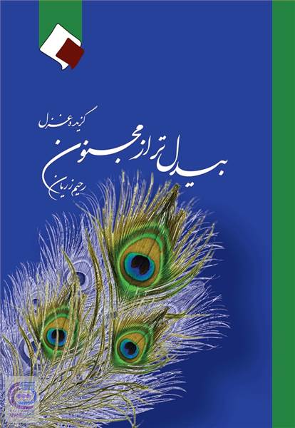 بیدل تر از مجنون