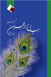 بیدل تر از مجنون
