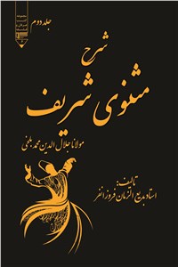 دانلود کتاب شرح مثنوی شریف - جلد دوم