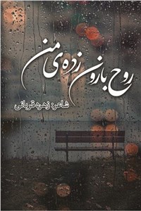 دانلود کتاب روح بارون زده من