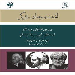 دانلود کتاب صوتی لذت و معنای زندگی